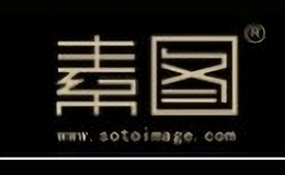 素圖
