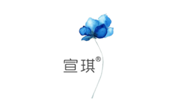 宣琪