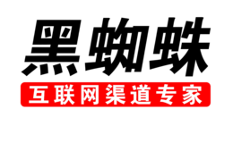 黑蜘蛛互聯(lián)網(wǎng)渠道專家