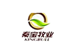 秦寶