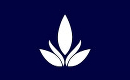 優(yōu)佳麗