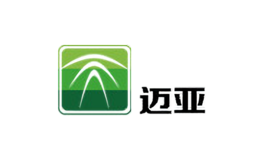 邁亞