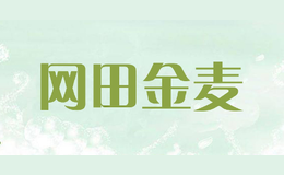 網(wǎng)田金麥a domesticity