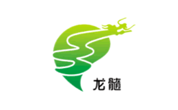龍髓Longsui