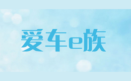 愛車e族