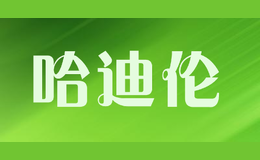 哈迪倫