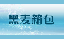 黑麥箱包
