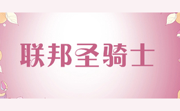 聯(lián)邦圣騎士