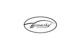 bisonsky汽車用品