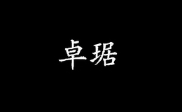 卓琚