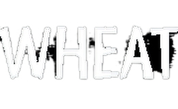 WHEAT