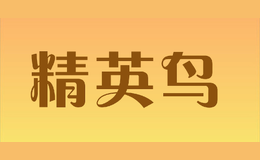 精英鳥