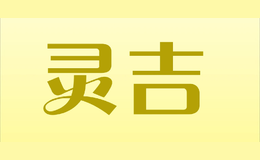 靈吉LGIR