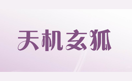 天機玄狐