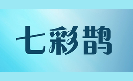 七彩鵲Qicaique
