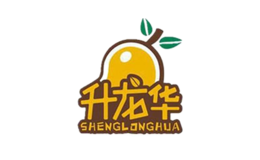 升龍華