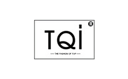 天騏達(dá)T-QI