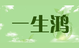 一生鴻