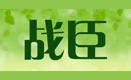 戰(zhàn)臣