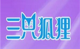 三只狐貍水果啤酒