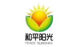 和平陽光太陽能發(fā)電