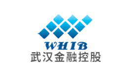武漢金融控股