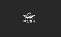 微觀世界
