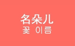 名朵兒