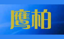 鷹柏