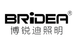 博銳迪BRIDEA