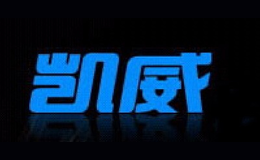 凱威CAMEWIN