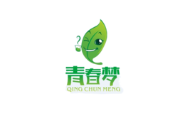 青春夢