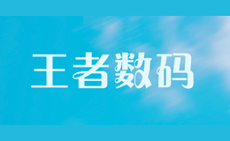 王者數(shù)碼