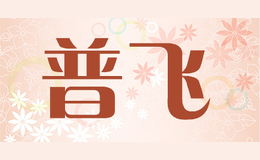 普飛ProFit